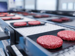 Burger patties on a food production conveyor