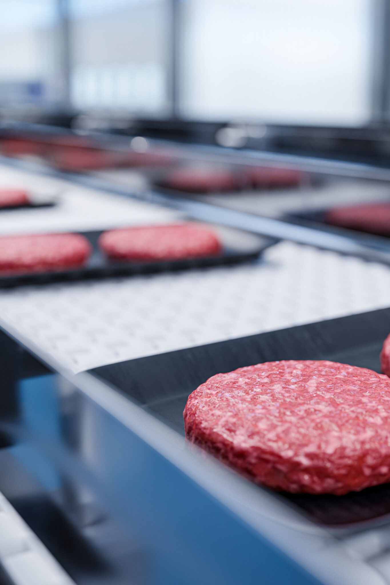 Burger patties on a food production conveyor